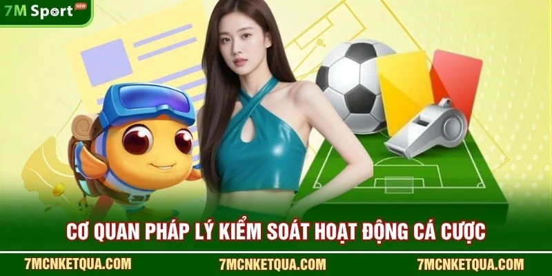 Cơ quan pháp lý kiểm soát hoạt động cá cược